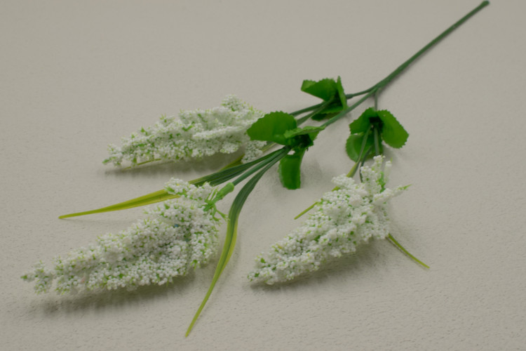 Ветка кукурузы