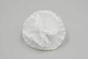 Голова гвоздика "Новинка"