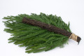 Связка еловая + туя + шишками силикон  в.-66см