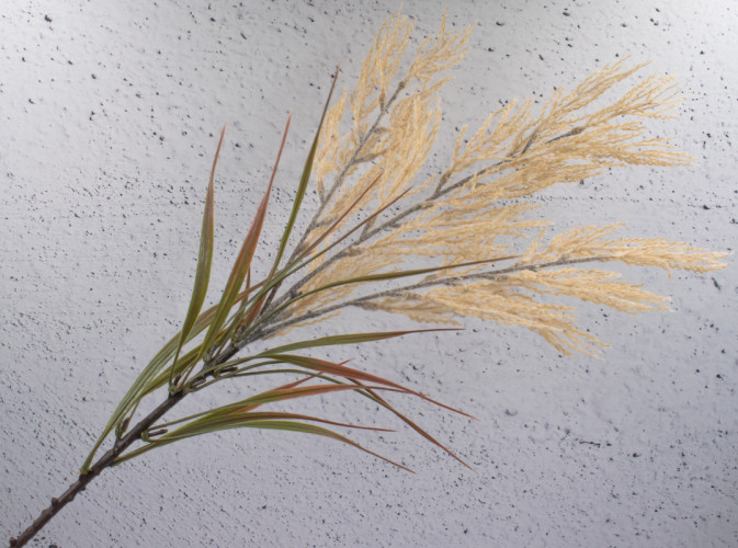 Ветка пампасной травы "Орин"  3 отв.