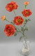 Ветка камелия " Фрейзи"