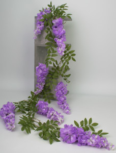 Лиана глициния "Эдита"